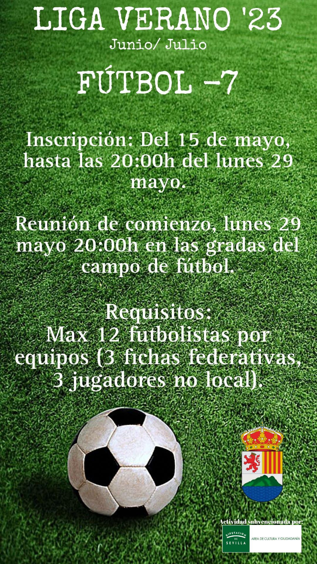 Liga verano Futbol 7