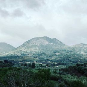 1708082152851_resultado_resultado