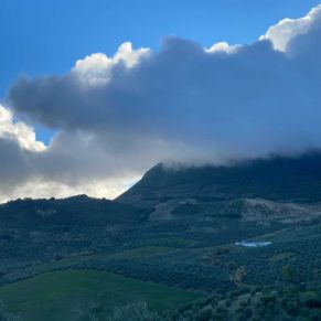 1708082152963_resultado_resultado