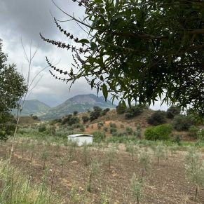 1708082152981_resultado_resultado