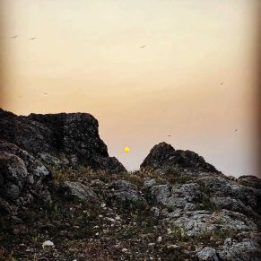 1708082152996_resultado_resultado