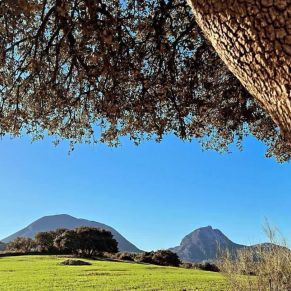 1708082153044_resultado_resultado