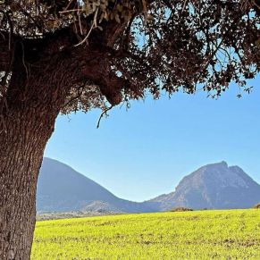 1708082153264_resultado_resultado