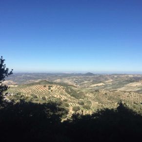 1708082153284_resultado_resultado