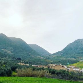 1708082153336_resultado_resultado