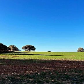 1708082249784_resultado_resultado