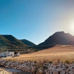 1708082249842_resultado_resultado