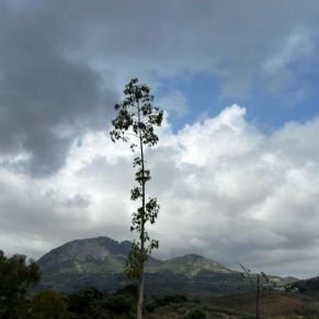 1708082249862_resultado_resultado