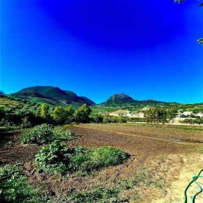 1708082249933_resultado_resultado