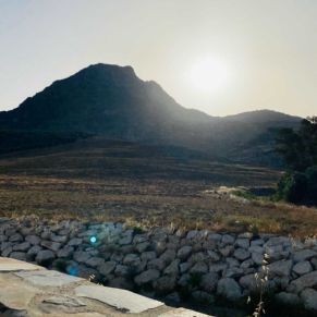 1708082250007_resultado_resultado