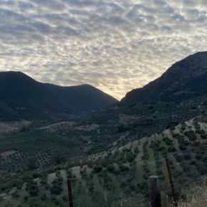 1708082250046_resultado_resultado