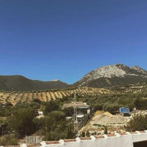 1708082250097_resultado_resultado