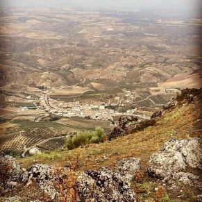 1708082250124_resultado_resultado