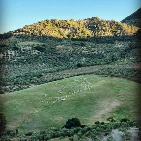 1708082250177_resultado_resultado