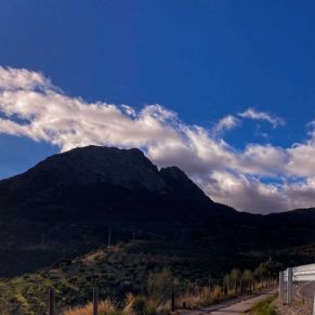 1708082250344_resultado_resultado