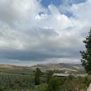 1708082250421_resultado_resultado