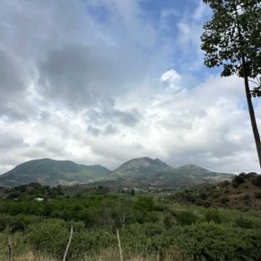 1708082250527_resultado_resultado