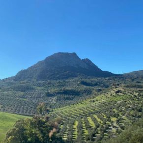 1708082250544_resultado_resultado