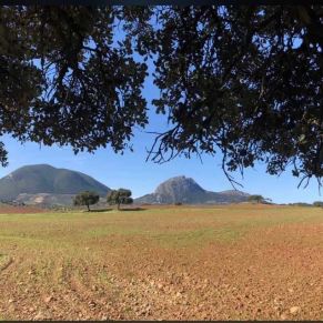 1708082250577_resultado_resultado