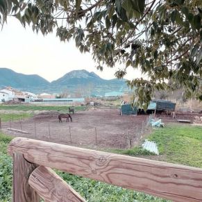 1708082398504_resultado_resultado