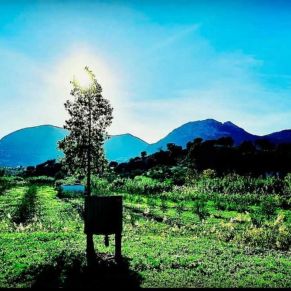 1708082398524_resultado_resultado