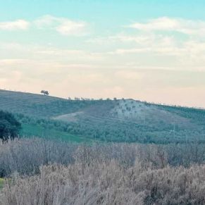 1708082398612_resultado_resultado