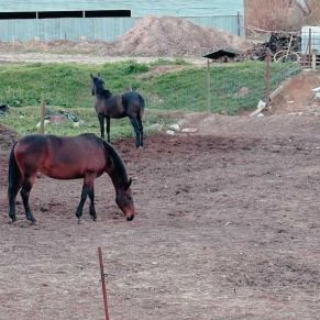 1708082398626_resultado_resultado