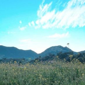 1708082398774_resultado_resultado