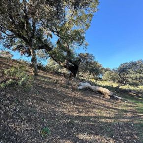 1708332084099_resultado_resultado