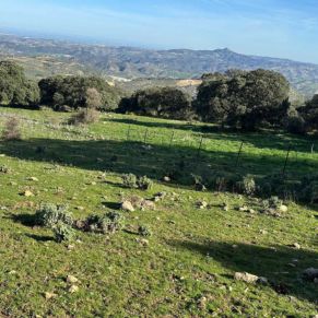 1708332084113_resultado_resultado