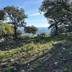 1708332084141_resultado_resultado