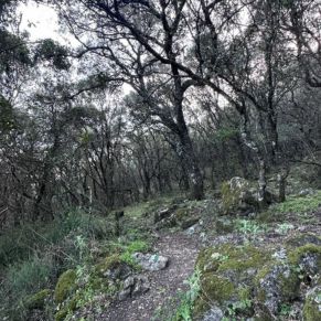 1708332084161_resultado_resultado