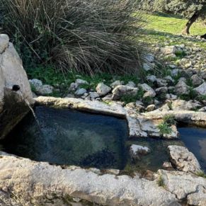 1708332084249_resultado_resultado