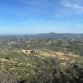 1708332084271_resultado_resultado