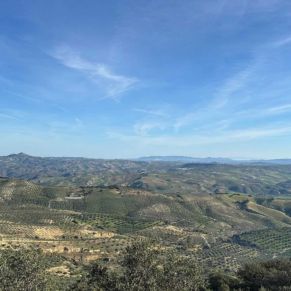 1708332084293_resultado_resultado