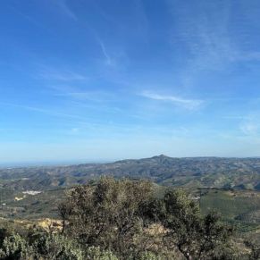 1708332084312_resultado_resultado