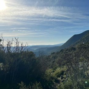 1708332084366_resultado_resultado