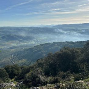 1708332084397_resultado_resultado