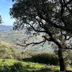 1708332084421_resultado_resultado