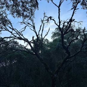 1708332133500_resultado_resultado