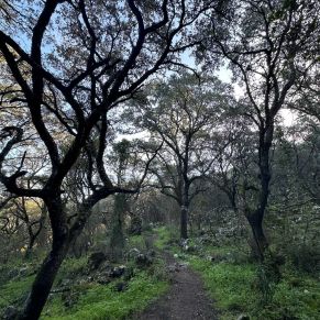 1708332133519_resultado_resultado