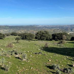 1708332133555_resultado_resultado