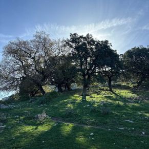 1708332133574_resultado_resultado