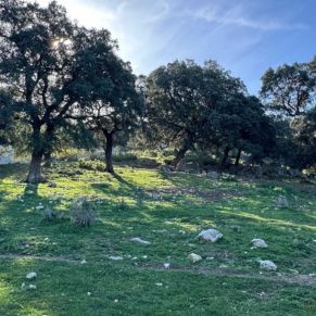 1708332133588_resultado_resultado