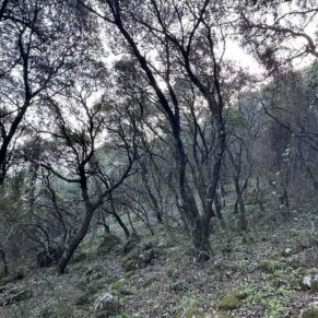 1708332133637_resultado_resultado