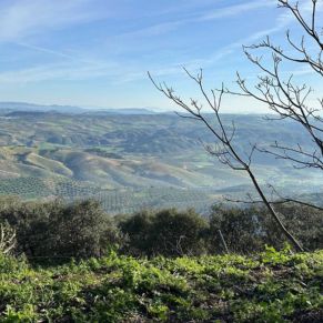 1708332133653_resultado_resultado