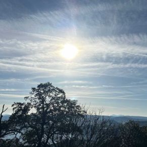 1708332133669_resultado_resultado