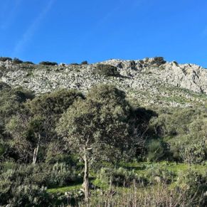 1708332133711_resultado_resultado