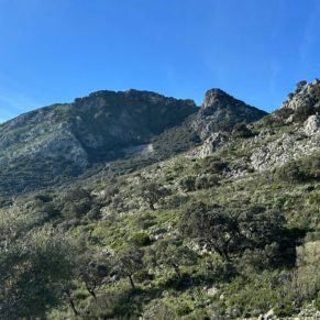 1708332133725_resultado_resultado