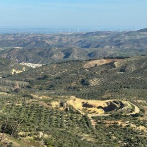 1708332133748_resultado_resultado